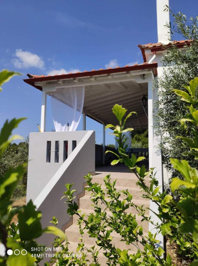 パティティリElia House 1 Astoning Sea View Among The Olive Treesアパートメント エクステリア 写真