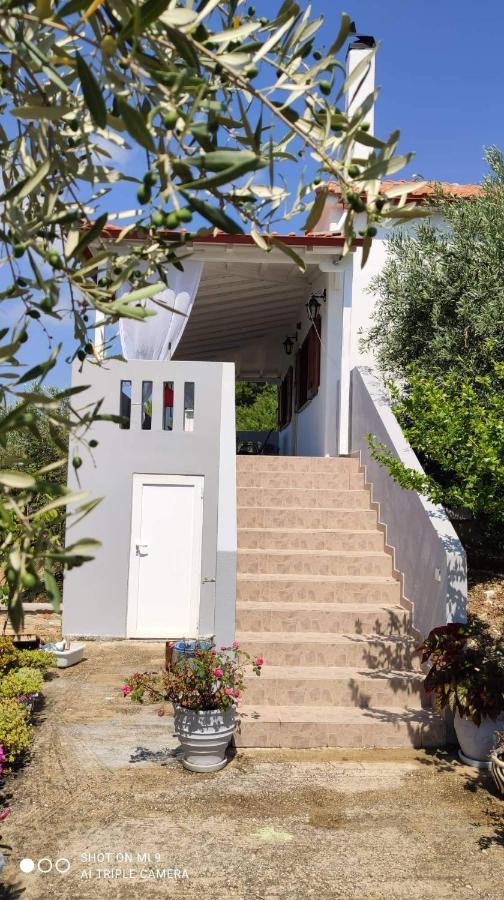 パティティリElia House 1 Astoning Sea View Among The Olive Treesアパートメント エクステリア 写真
