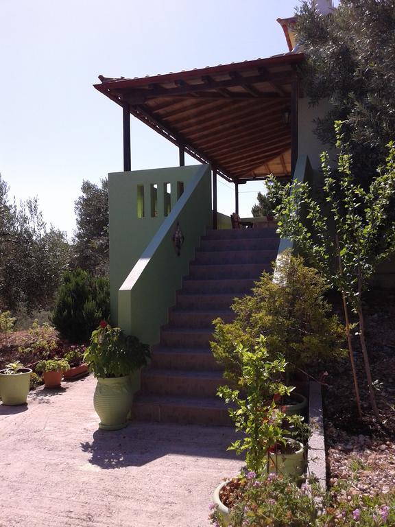パティティリElia House 1 Astoning Sea View Among The Olive Treesアパートメント エクステリア 写真